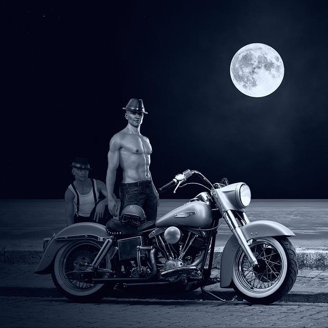 What Motorcycle Enthusiasts Really Think of Zero Bikers: An Inside Look