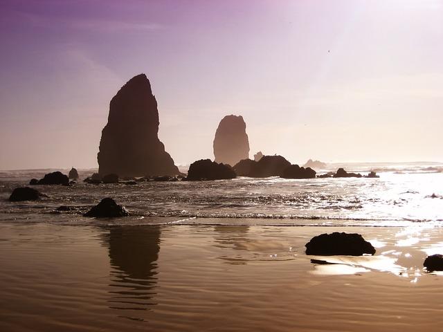 Oregon Odyssey: How to Get a Motorcycle License in Oregon - Your Guide! 5 Oregon Odyssey: How to Get a Motorcycle License in Oregon – Your Guide!