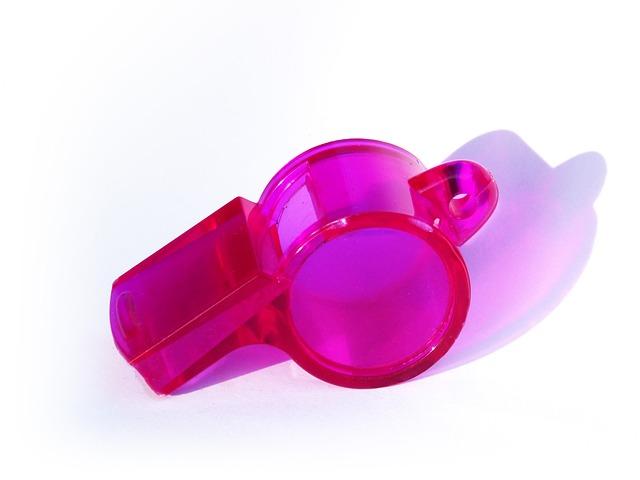 Whistle Wonders: Do Deer Whistles Truly Prevent Motorcycle Collisions?